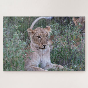 Pride Guardian – Rustende Leeuwin Legpuzzel