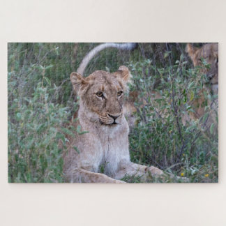 Pride Guardian – Rustende Leeuwin Legpuzzel