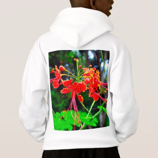 Pride of Barbados (Achterkant)