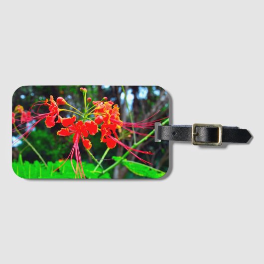Pride of Barbados Bagagelabel (Voorkant (horizontaal))