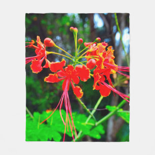 Pride of Barbados   Fleece Deken
