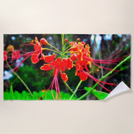 Pride of Barbados Strandlaken (Voorkant)