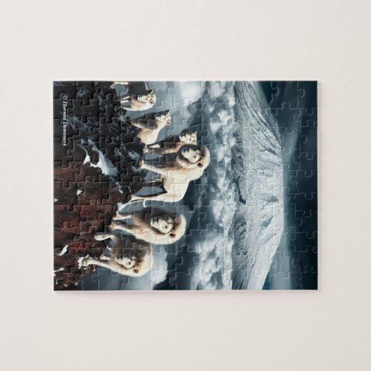 Pride of white lions: puzzle (Horizontal)