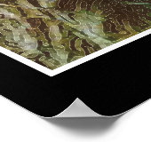 "PRIDE" Poster du lion africain Imprimer (Coin)