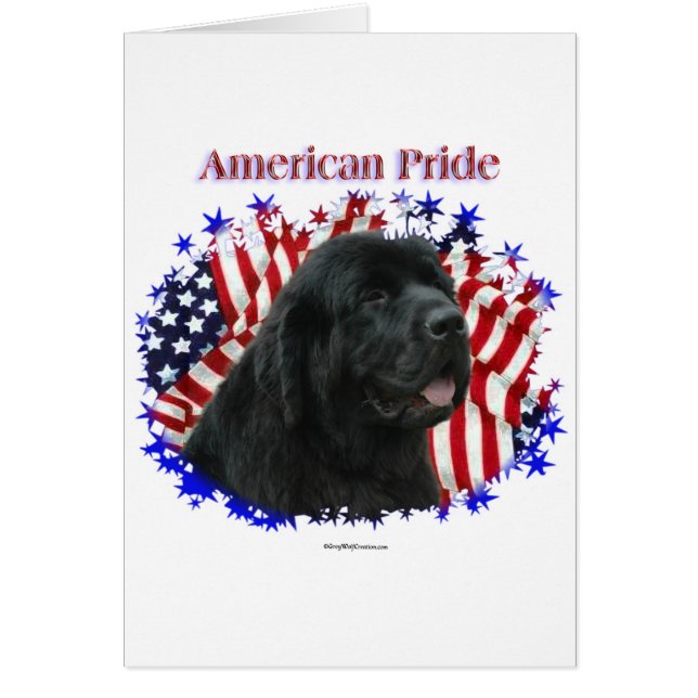 Pride Terre-Neuve (Devant)