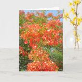 Pride van Barbados Kaart (Gele Bloem)