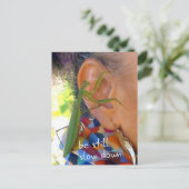 Prier Mantis - être tranquille, ralentir - carte p (Debout devant)