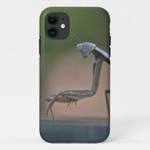Prier Mantis Iphone 5 Coque