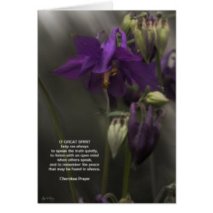 Prière cherokee, Columbine à la lumière du soleil