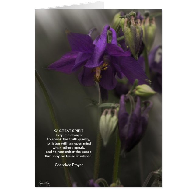 Prière Cherokee, Columbine au soleil (Devant)