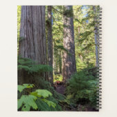 Prière de sérénité Forêt verte (Dos)