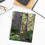 Prière de sérénité Forêt verte<br><div class="desc">Ce planificateur mensuel/hebdomadaire de calendrier garde toutes vos activités et horaires à venir organisées en un seul endroit pratique et présente l'image d'un paysage forestier verdoyant avec des conifères à feuillage persistant ainsi que les mots inspirants de la prière de sérénité imprimé en écriture blanche et élégante. Sélectionnez votre style...</div>