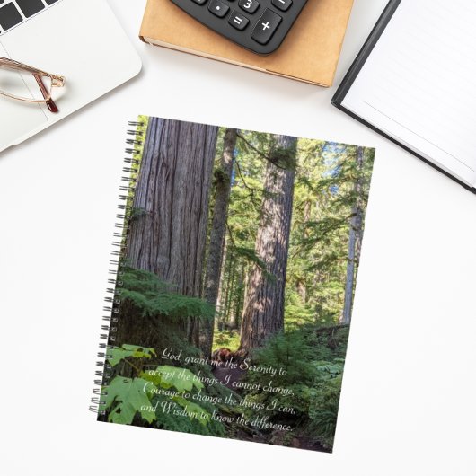 Prière de sérénité Forêt verte