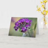 Prière Mantis, carte (Fleur jaune)