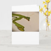 Prière Mantis, carte (Fleur jaune)