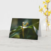 Prière Mantis, carte (Fleur jaune)