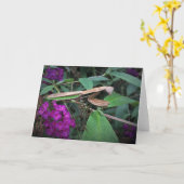 Prière Mantis, carte (Fleur jaune)
