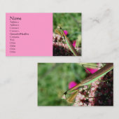 Prière Mantis Carte de visite de la photographie d (Devant / Derrière)