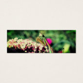 Prière Mantis Nature Mini Signet (Devant)