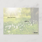 Prière pour la guidance de Dieu, carte postale de  (Dos)