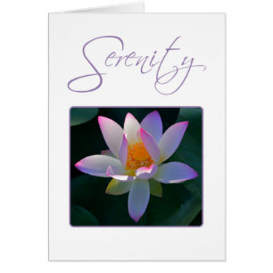 Prière Sérénité Fleur Lotus Rose