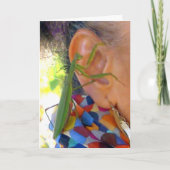 Priez Mantis partage un secret - carte (Devant)