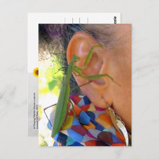 Priez Mantis partage un secret - carte postale V (Devant / Derrière)