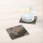 Prijs van de eekhoorn vierkante kartonnen onderzetter (Insitu)