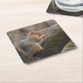 Prijs van de eekhoorn vierkante kartonnen onderzetter (Schuin)