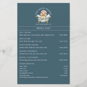 Prijslijstfolder voor het verzorgen van Poodles in Flyer
