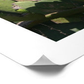 Prijsperen Poster (Hoek)