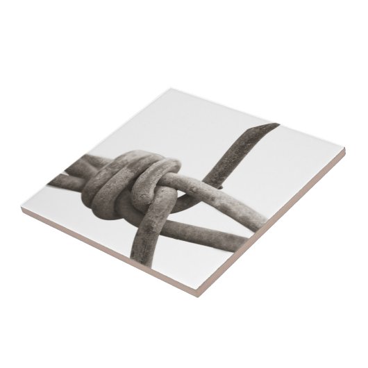 prikkeldraad tegeltje (Zijkant)