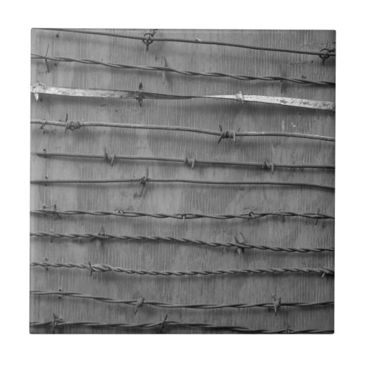 prikkeldraad tegeltje (Voorkant)