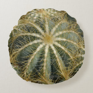 Prikkelige Natuurlijke Groene Cactus Rond Kussen