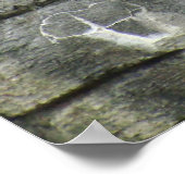 Primaat en waterval Poster (Hoek)