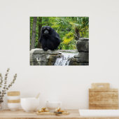 Primaat en waterval Poster (Keuken)