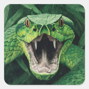 Primal Power 008 – Slang Vierkante Sticker