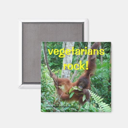 Primate Vegetariërs rocken! Magneet (Voorkant / Achterkant)