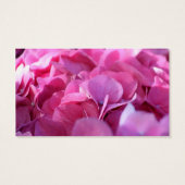 prime rose, Enregistrer la date (Dos)