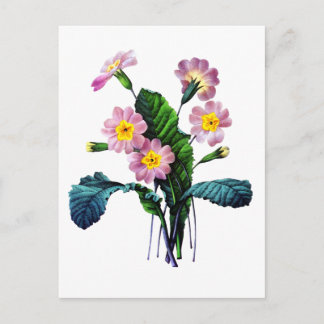 Primevere of Primroses van Pierre Joseph Redoute Briefkaart