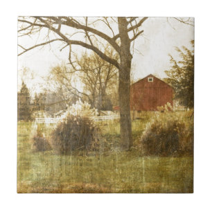 Primitief Boerderij rode kool bij landbomen in de  Tegeltje