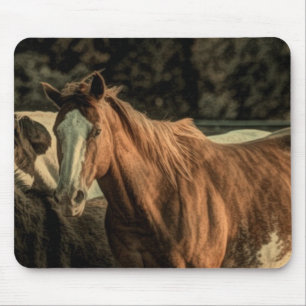Primitief rustiek western landpaard muismat