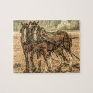 Primitieve Westerne land boerderij Legpuzzel