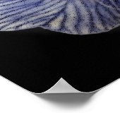 Primrose bloemen poster (Hoek)