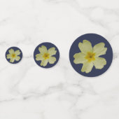 Primrose Confetti (Derrière)