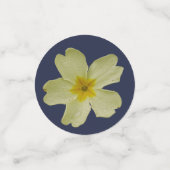 Primrose Confetti (Petit recto)