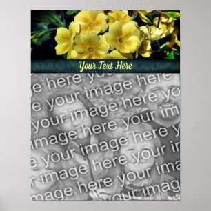 Primrose Flowers Voeg uw foto gepersonaliseerd toe Poster