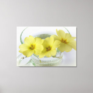primrose in een kopje koffie canvas afdruk