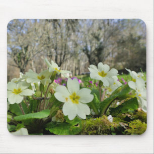 Primrose Mouse Mat Muismat