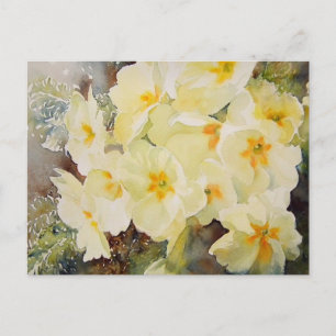 Primrose Posy Briefkaart